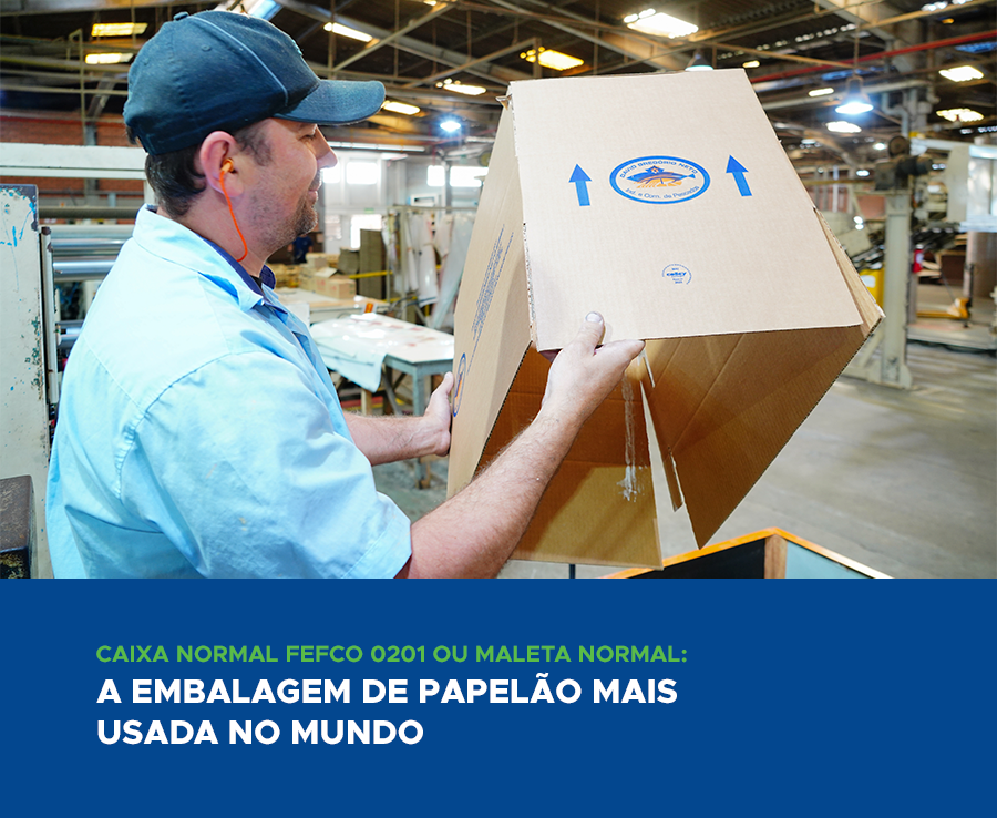 CAIXA NORMAL FEFCO 0201 OU MALETA NORMAL: A EMBALAGEM DE PAPELÃO MAIS USADA NO MUNDO