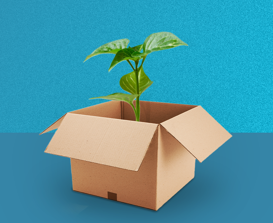 Tecnologia de ponta aliada ao meio ambiente